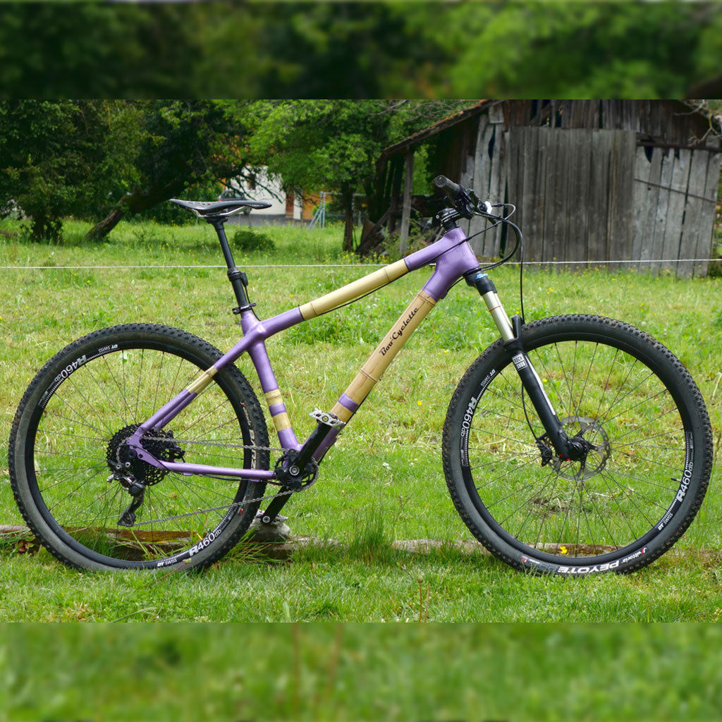 Xavier's bamboo hardtail mountain bike with lilac joints in a grassy field by a wooden barn