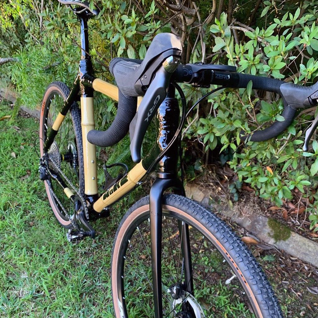 Steve's bamboo gravel bike with black joints, GRX levers and tan-wall tyres, parked against a hedge