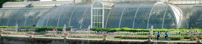 Bamboo Bicycle Club at Kew Gardens