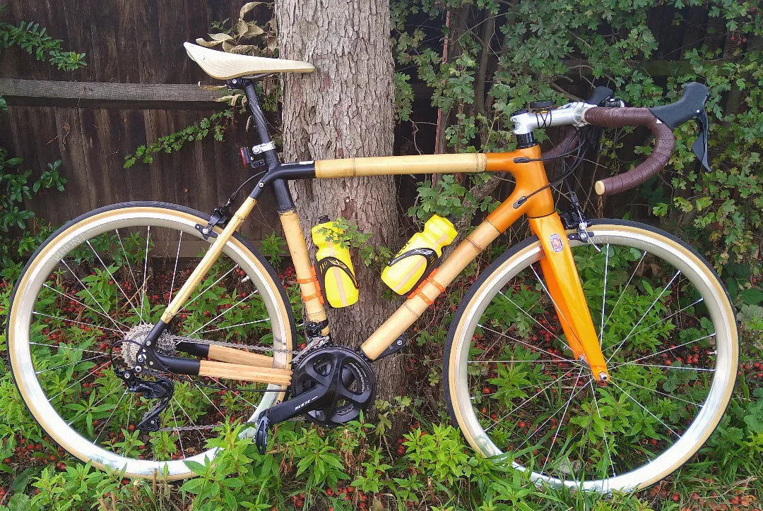 Jake's bamboo road bike with orange fork and joints, cream tyres and yellow bottles against a tree