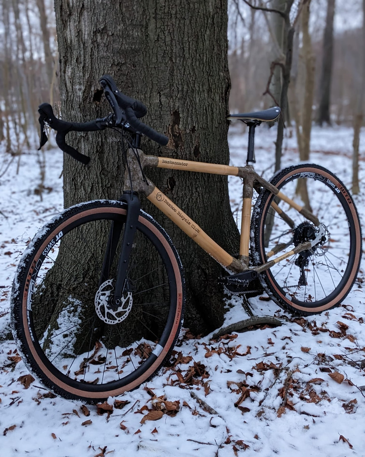 Bamboo gravel bike with tan-wall tyres leaning against a tree trunk in snowy woodland