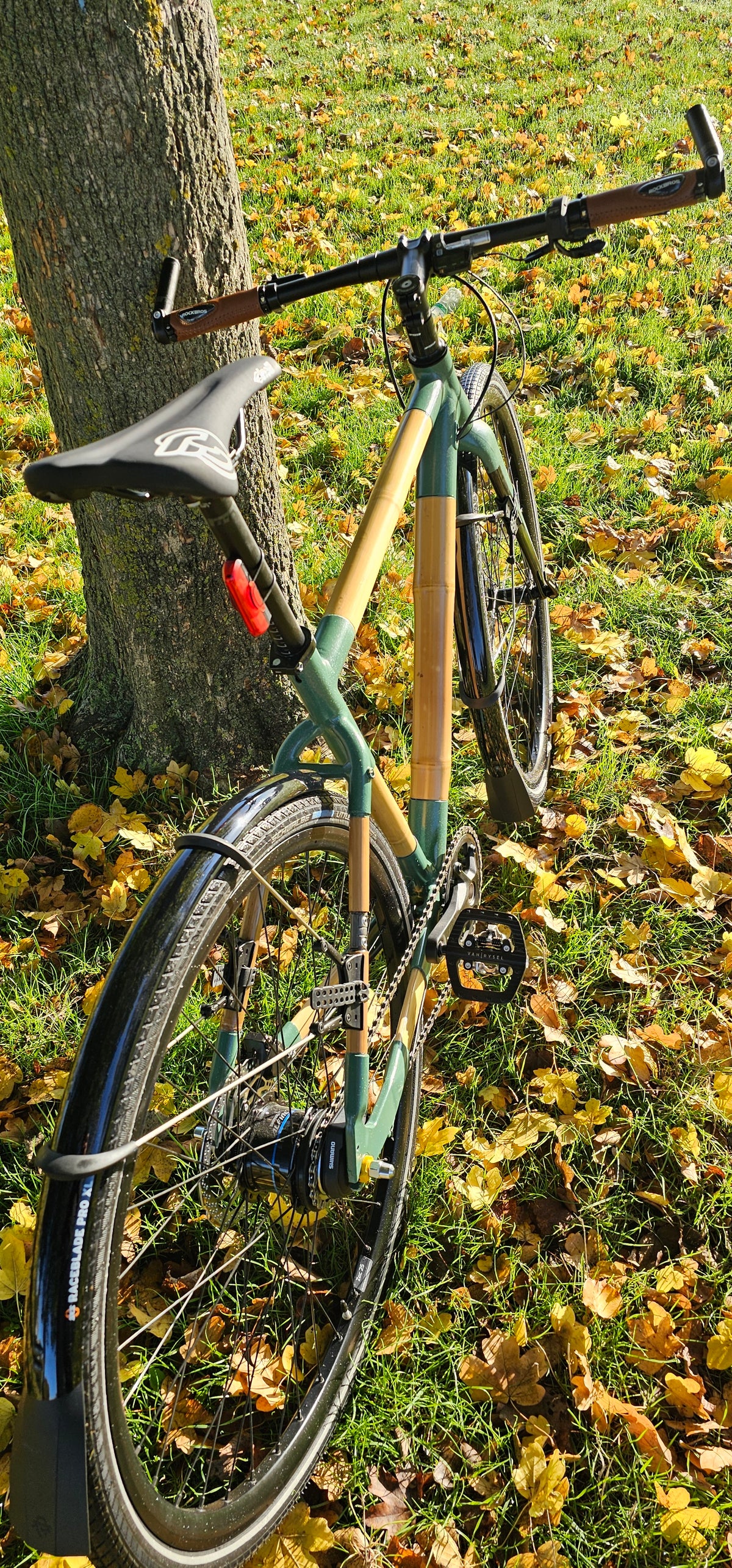 Yoann's bamboo city bike with green joints and mudguards leaning against a tree amid fallen autumn leaves