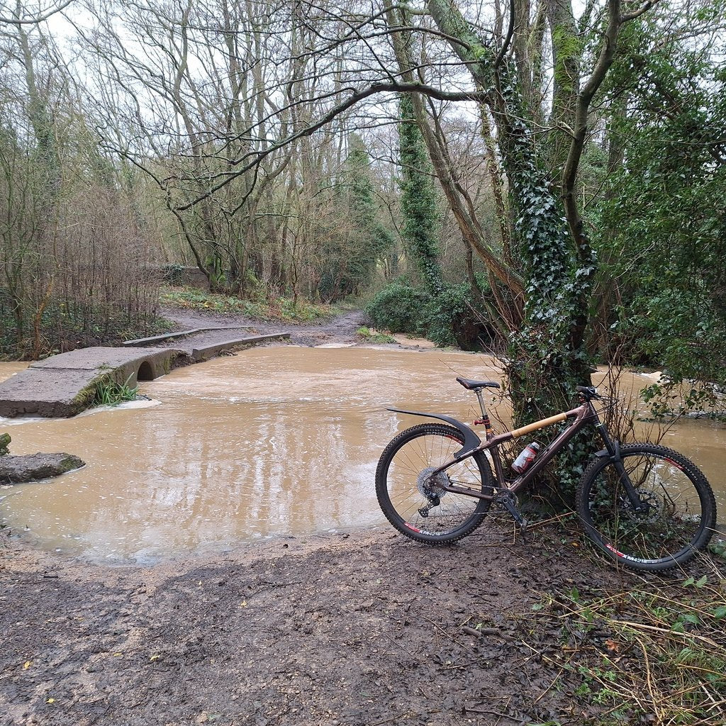 Stephen's bamboo 29er mountain bike leaning on an ivy-covered tree beside a flooded woodland ford