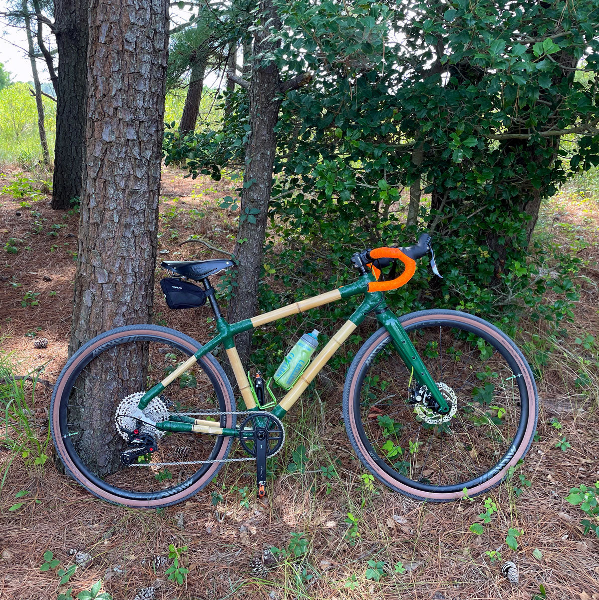 Alex's bamboo gravel bike with green lugs and orange bar tape, leaning against a pine tree in woodland