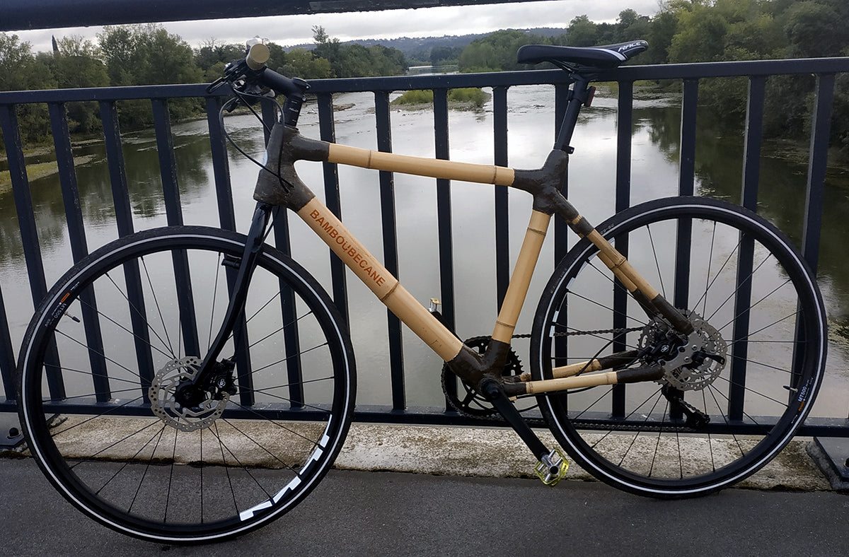 Guillaume's bamboo city bike with dark joints and flat handlebar, leaning on a bridge railing over a river