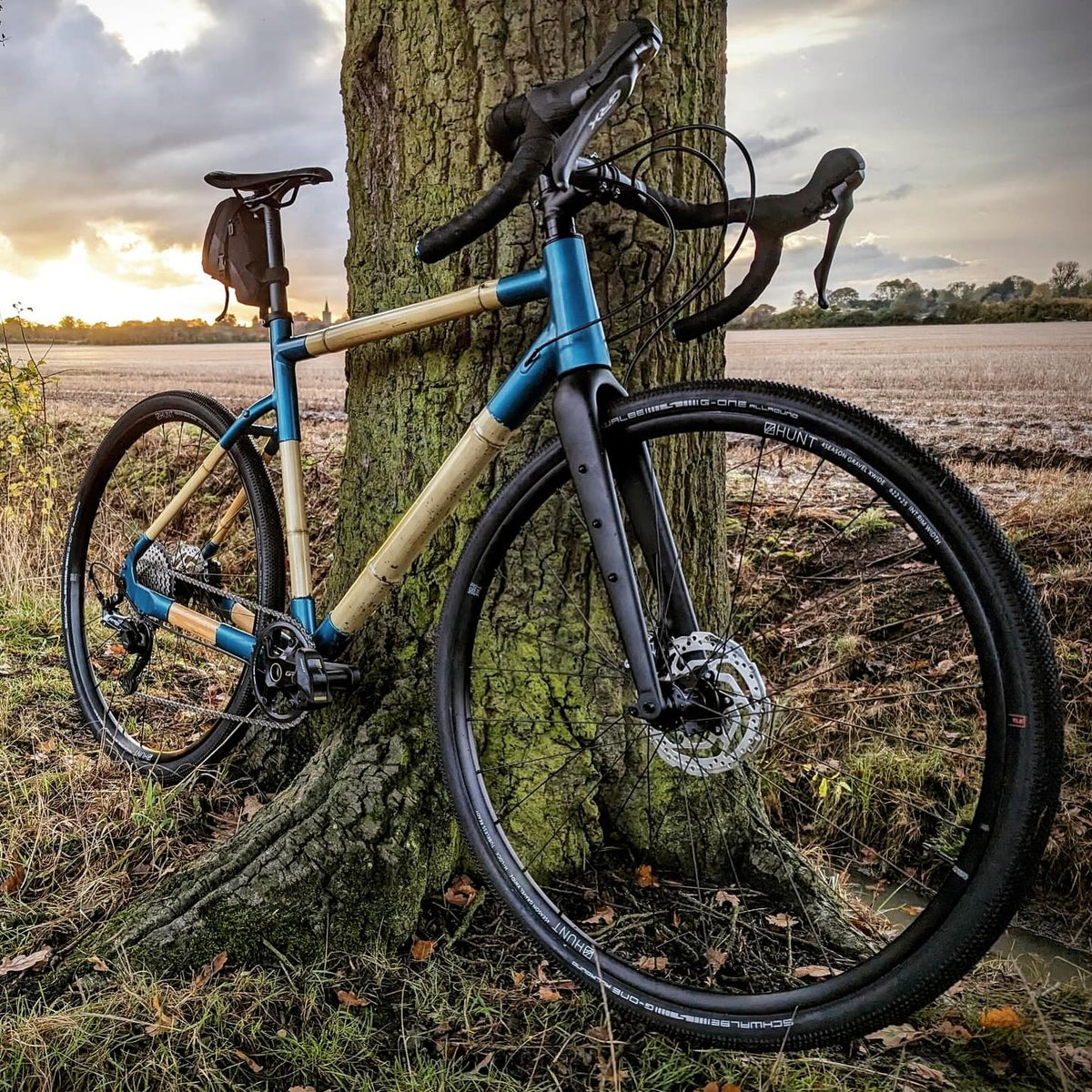Craig's bamboo gravel bike with blue lugs, leaning against a tree beside a ploughed field in golden light
