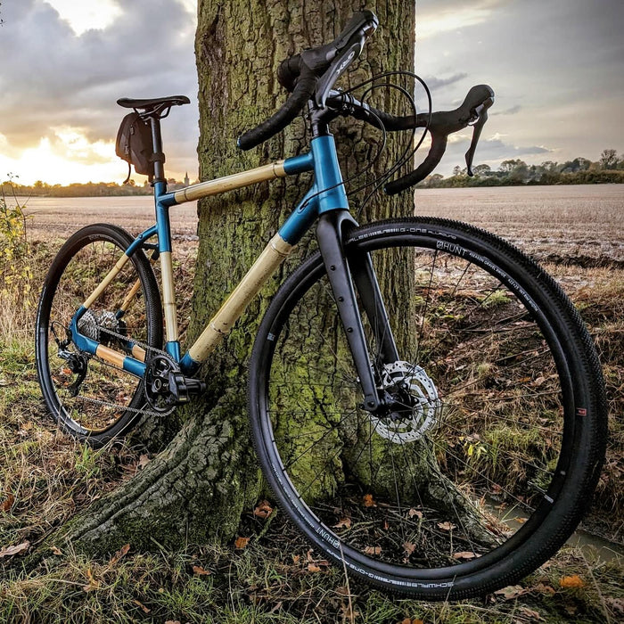 Craig's bamboo gravel bike with blue lugs, leaning against a tree beside a ploughed field in golden light