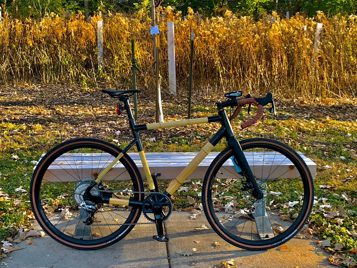 Sebastian's bamboo gravel bike with black joints and tan-wall tyres beside a bench in autumn sunshine