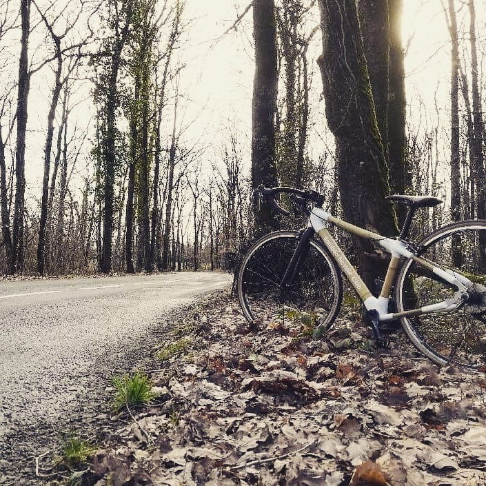 Women’s bamboo road bike out in France. .