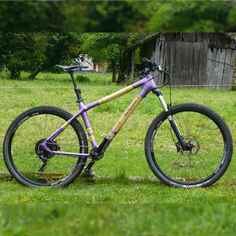 Custom MTB 29er by Xavier