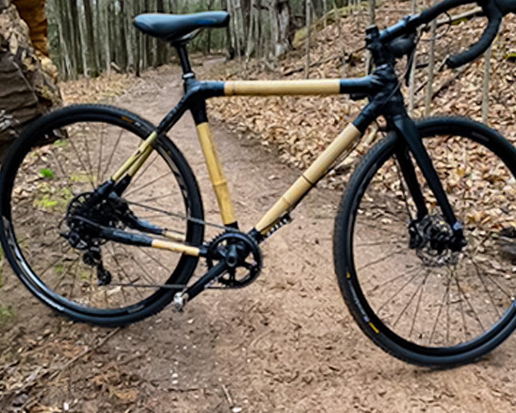 Gravel Bike by Cary