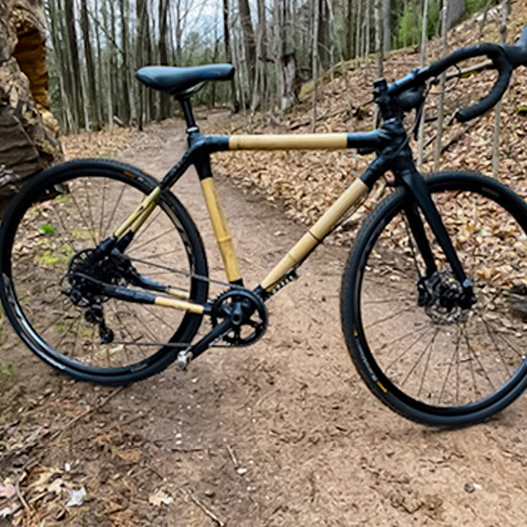 Gravel Bike by Cary