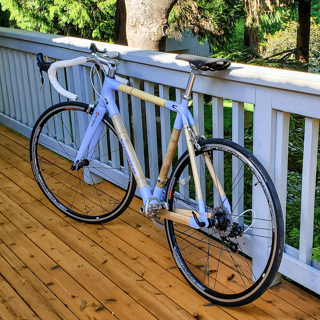 Road Carbon Bike by Oliver