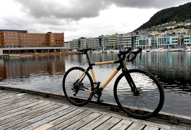 Eric's Bamboo Bike build