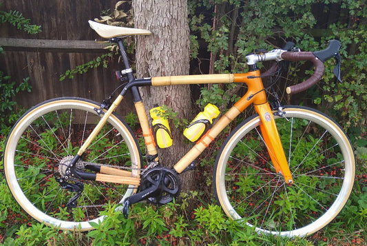 Jake's Bamboo Road Bike