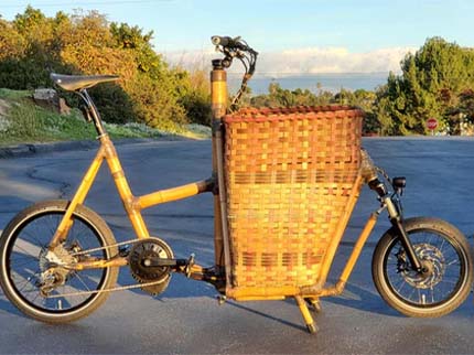 Karl's custom cargo e-bike