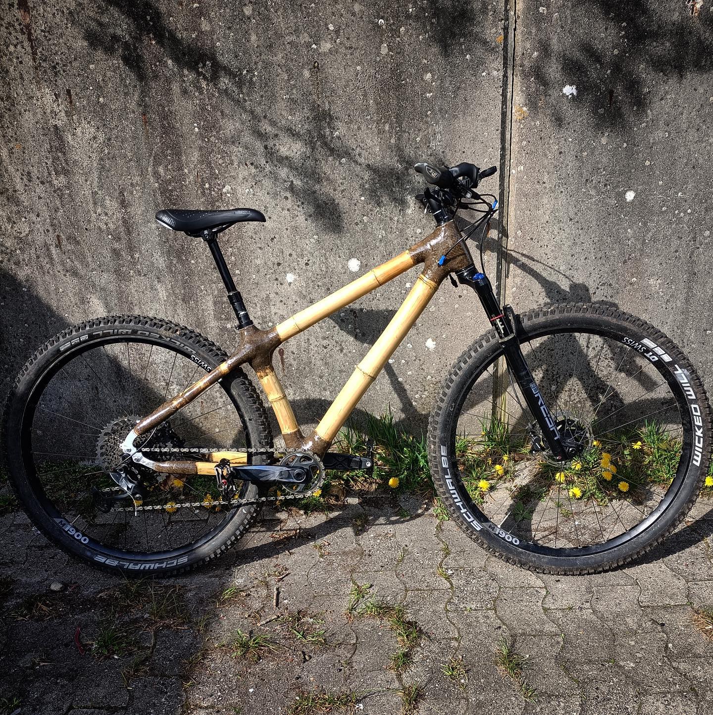 Mark built a free-ride 29er — and it keeps taking everything he throws at it