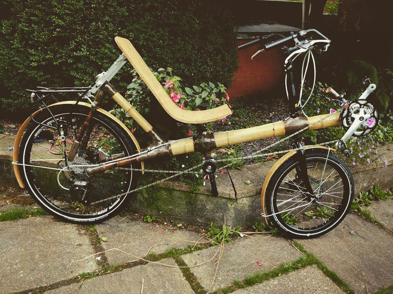 Bamboo recumbent build by Ron .
