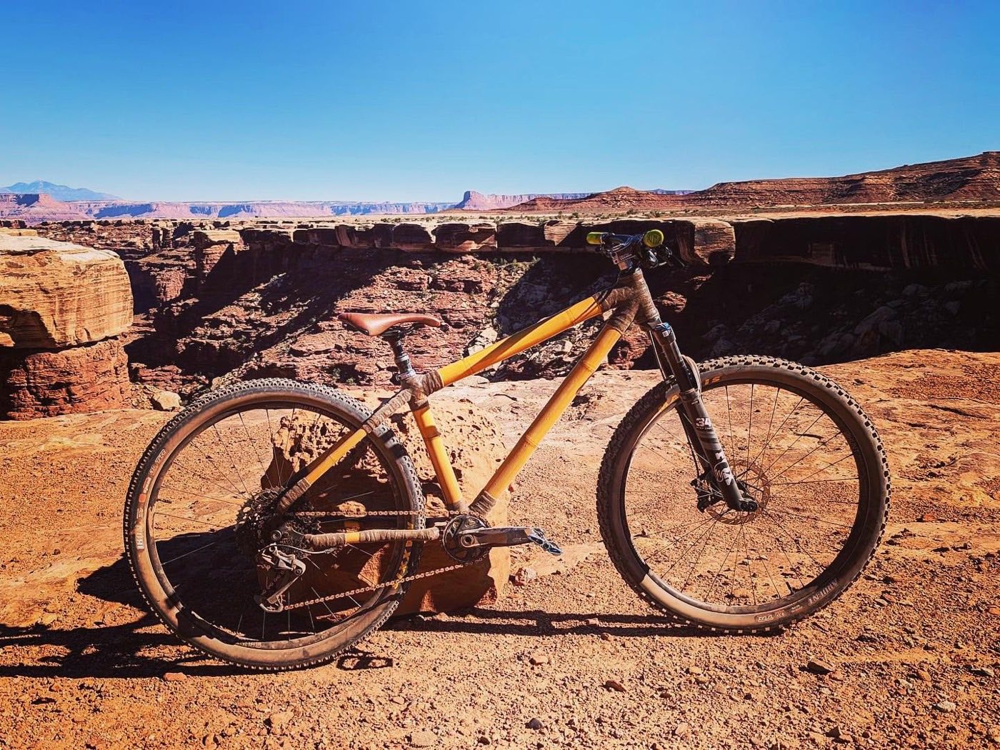 A bamboo 29er mountain bike built from the kit