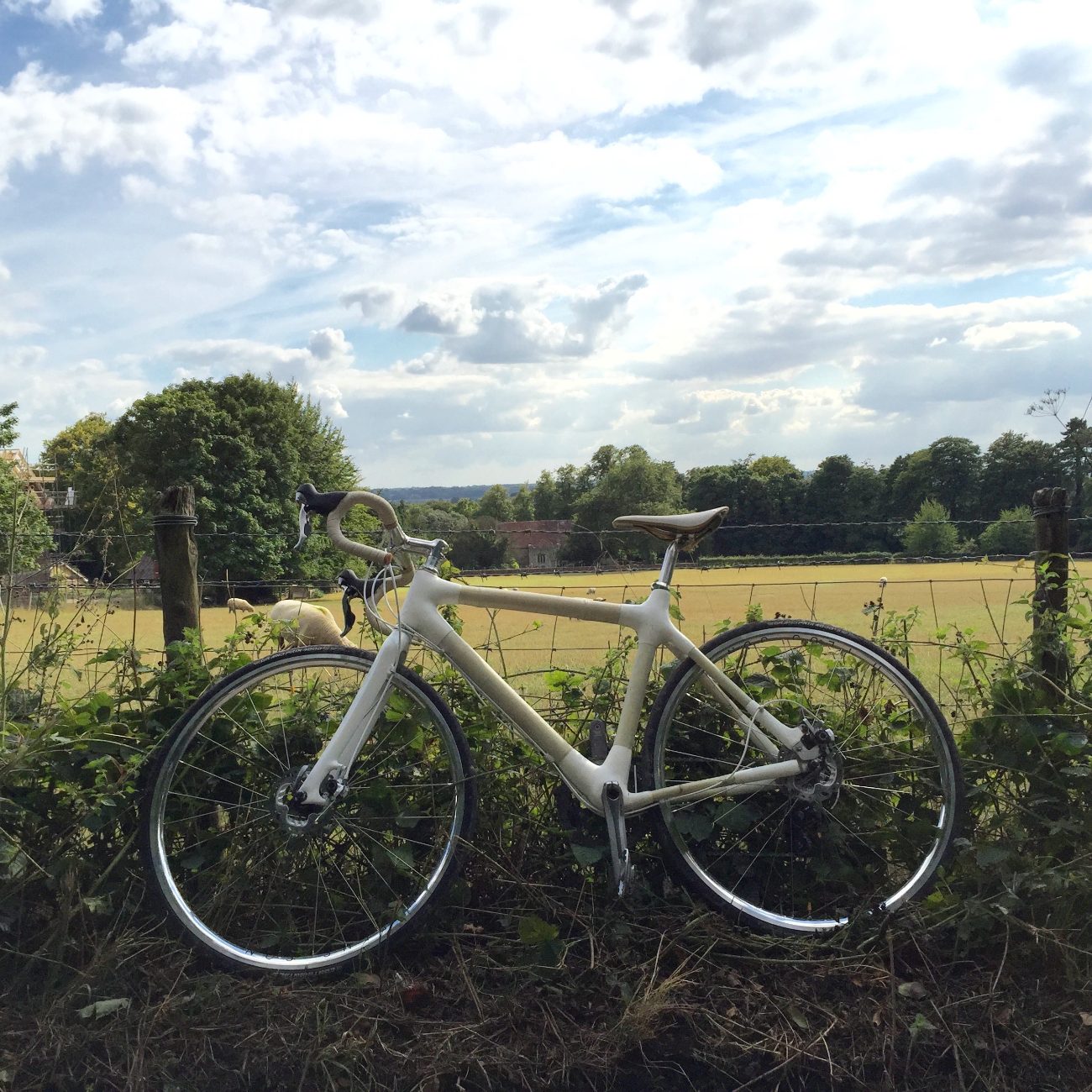 A hand-built bamboo bicycle in a field