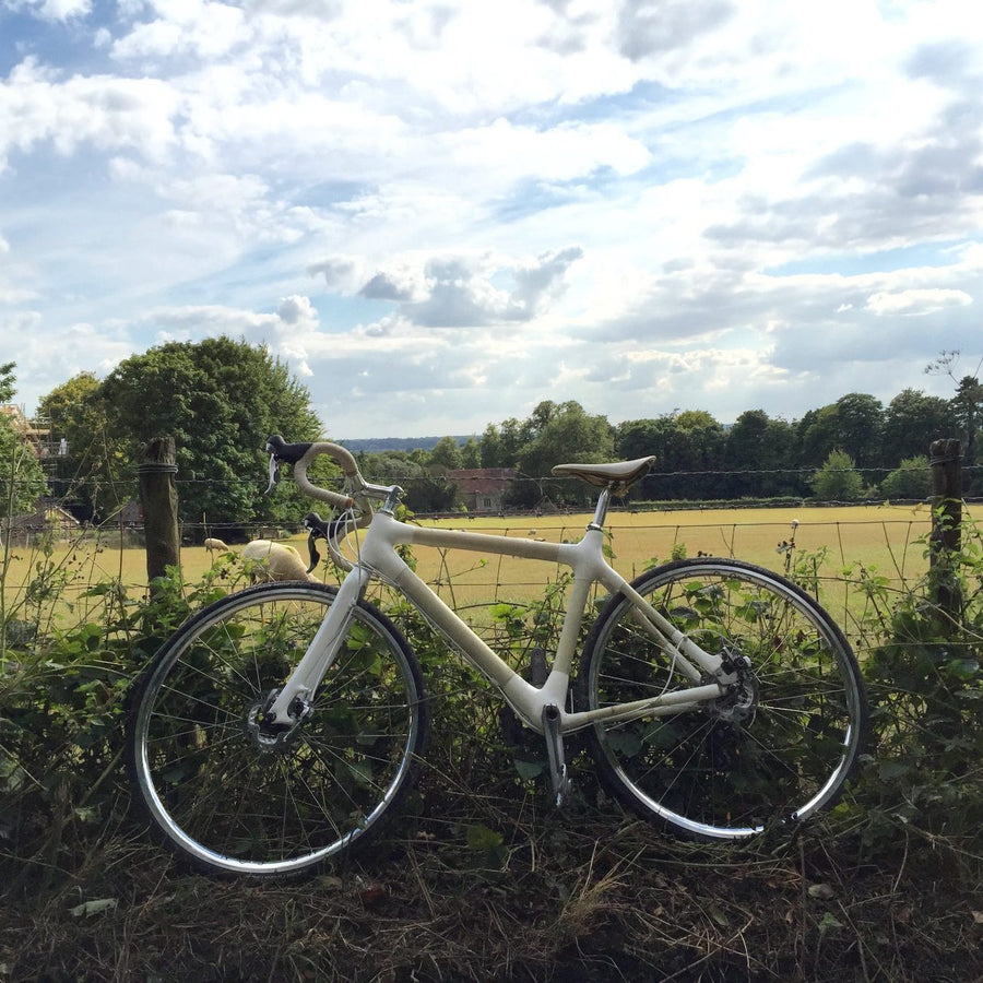 Finished bamboo road bike leaning against a fence in the countryside
